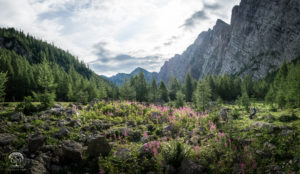 Krma Valley