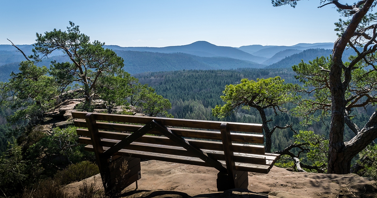 Exploring The Palatinate Forest - Nils Mora Photography