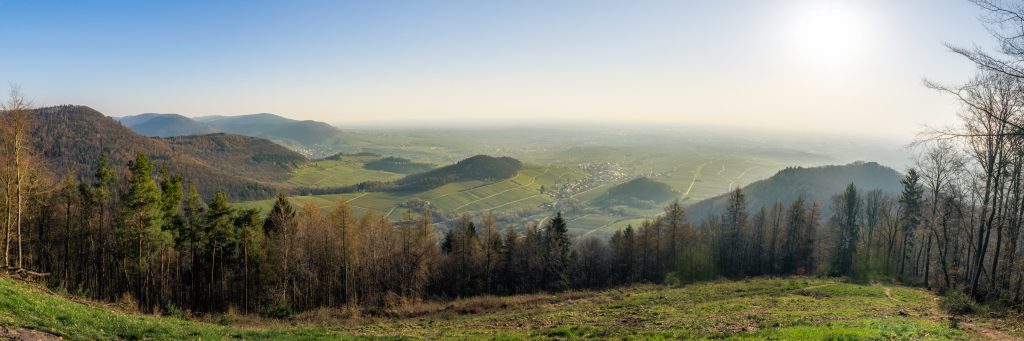 Panoramic view from Föhrlenberg Mountain