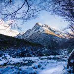 Patagonian Winter