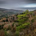 Irrenbergblick