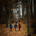Hiking in the Woods