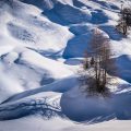 Alp Da Munt Alp Da Munt