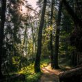 Crossing the Alps: Mount Penegal