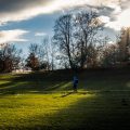 Light and Shadows