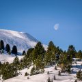 Day Moon Day Moon