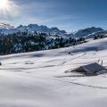 Below the snow Below the snow