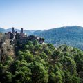 Dahner Castle Group