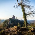 Burg Trifels