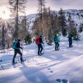 Snowshoe fun Snowshoe fun