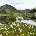 Crossing the Alps: Langsee