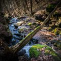 Margarethenschlucht Margarethenschlucht