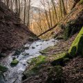 Margarethenschlucht Margarethenschlucht