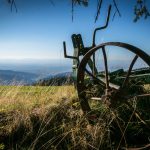 Black Forest - Breitnauer Weide
