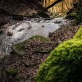 Margarethenschlucht Margarethenschlucht