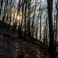 Margarethenschlucht Margarethenschlucht
