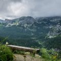 Bench with a View