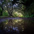 Levada das 25 Fontes