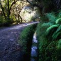 Levada das 25 Fontes