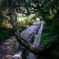 Levada das 25 Fontes