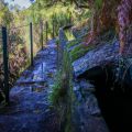 Levada das 25 Fontes Levada das 25 Fontes