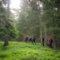 Climbing Ahornberg Mountain
