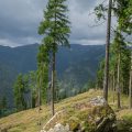 Climbing Ahornberg Mountain