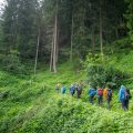 Hiking through the woods